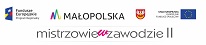 Mistrzowie w zawodzie