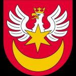  sprzątanie świata 10_25