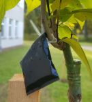  w_zsp_podnosimy_swiadomosc_i_dbamy_o_zdrowie