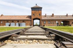 auschwitz